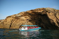 Hunter Coastal Adventure Tour by Boat from Newcastle - VIC Tourism