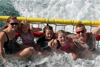 Jervis Bay Boom Netting and Dolphins Tour - Accommodation Rockhampton