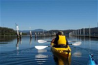 Batemans Bay Oyster Tasting Kayak Tour - Sydney Tourism