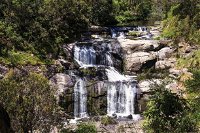 Agnes Falls Scenic Reserve - Accommodation Rockhampton