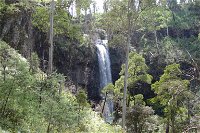 Bindaree Falls - Yamba Accommodation