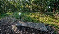 Browns Forest Loop Trail - Accommodation Australia