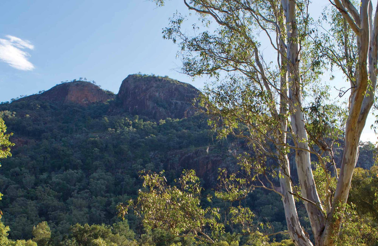 Warrumbungle NSW Accommodation Hamilton Island