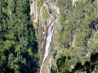 Carrai National Park - Accommodation Tasmania