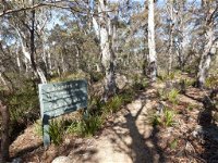 Cascades walking track and viewing platform - Attractions Sydney