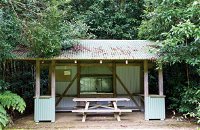 Coachwood Picnic Area - Gold Coast Attractions