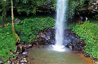 Crystal Shower Falls Walk - Accommodation Yamba