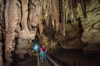 Cutta Cutta Caves Nature Park - Accommodation Port Hedland