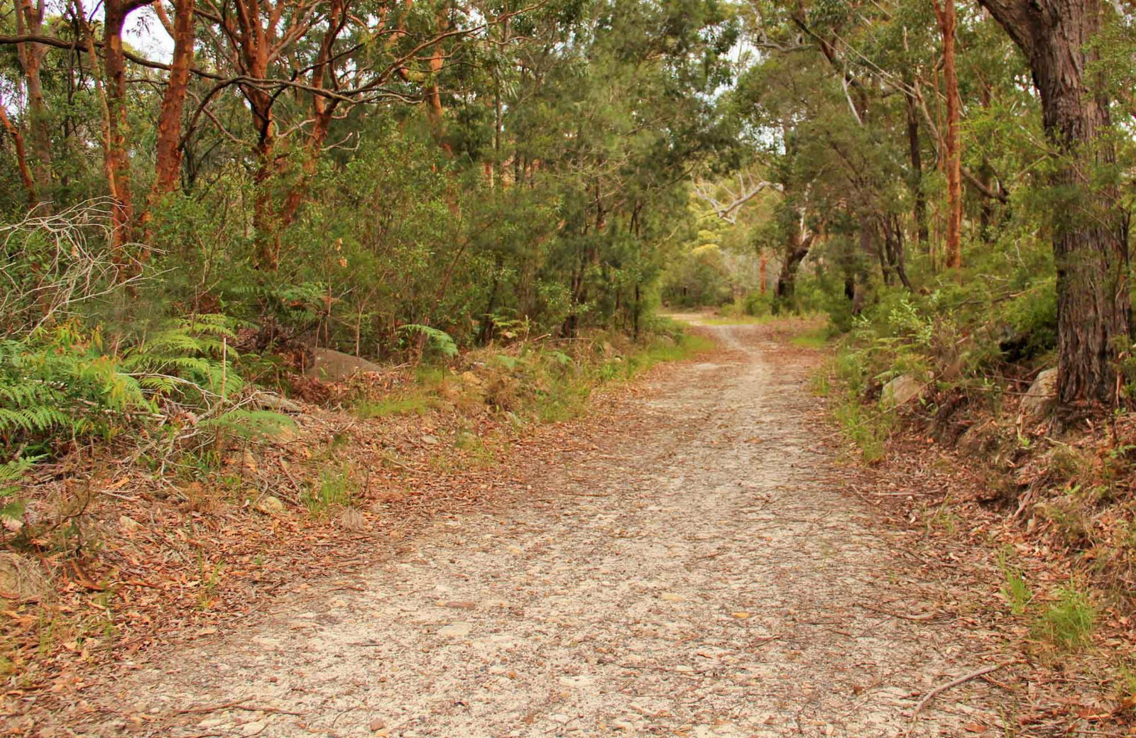 Killcare Heights NSW Tourism Cairns