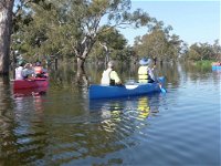 Doodle Cooma Swamp - Gold Coast Attractions