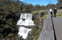 Ebor Falls - eAccommodation