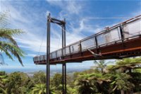 Forest Sky Pier Sealy Lookout - Kingaroy Accommodation
