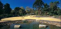 Geelong Botanic Gardens - Accommodation Adelaide