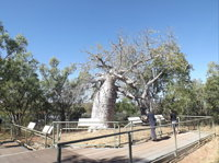 Gregory's Tree Timber Creek - QLD Tourism