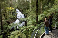 Great Otway National Park - Accommodation in Brisbane