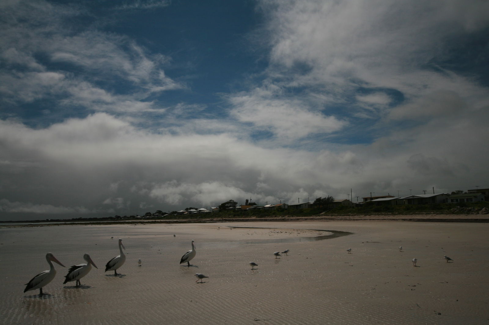 Hardwicke Bay SA Accommodation QLD