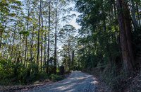 Hastings Forest Way Touring Route - Accommodation Redcliffe