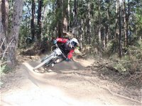 Jolly Nose Mountain Bike Park - Attractions