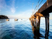 Kingscote Jetty - Attractions