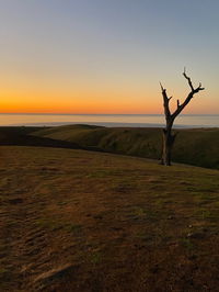 Lessismore Farm Afternoon Farmer - Accommodation Bookings