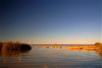 Malkumba-Coongie Lakes National Park - QLD Tourism