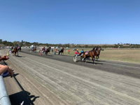 Marburg Pacing Association - New South Wales Tourism 