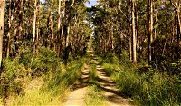 Mining Road Fire Trail Old Gibber Road Rire Trail - Accommodation Bookings