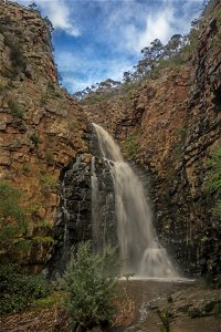 Morialta Conservation Park - Accommodation ACT