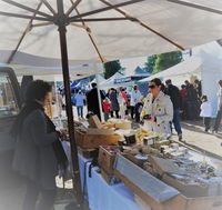 Mornington Racecourse Market - Attractions