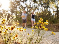 Nail Can Hill - Brisbane Tourism