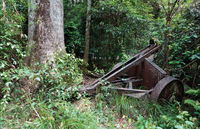 Norman Jolly Picnic Area - Accommodation Rockhampton