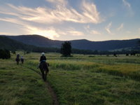 Numinbah Valley Adventure  Camping - Accommodation NSW