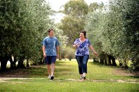 Olives of Beaulieu - Attractions