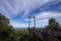 Orara East State Forest - Gold Coast Attractions