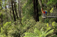 Pipers lookout - Accommodation Rockhampton