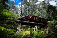 Puffing Billy Railway - Tourism Bookings WA