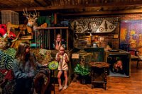 Ripleys Believe It Or Not Odditorium - Bundaberg Accommodation