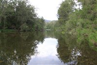 Riverside Campground and Picnic Area - Accommodation BNB