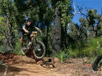 Scorpion Trail Kalamunda Mountain Bike Trails - Gold Coast Attractions