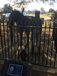 Sergeant Parry Memorial - Accommodation Broken Hill