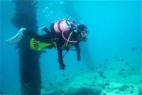 Shellharbour Scuba  and Photography Centre - Accommodation BNB