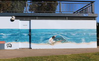 Shoalhaven Toilet Mural Tour - Broome Tourism