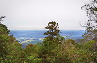 Slingsbys Trail and Syndicate Ridge Track - Tourism Brisbane