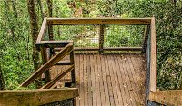 Somersby Falls walking track - Accommodation in Surfers Paradise