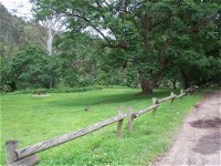 St Albans Reserve - Yamba Accommodation