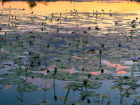 St Lawrence - Broome Tourism