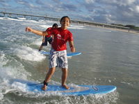 Surf In Paradise - Tourism Adelaide