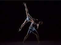 Sydney Dance Company - Accommodation BNB