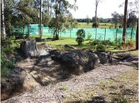 Tactical Paintball Games - Tourism Canberra