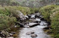 Thredbo River Track - Accommodation Redcliffe